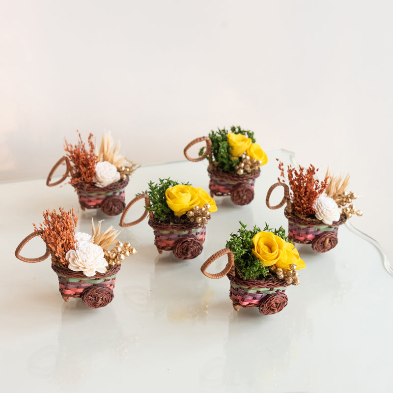 Dried Flowers & Leaves