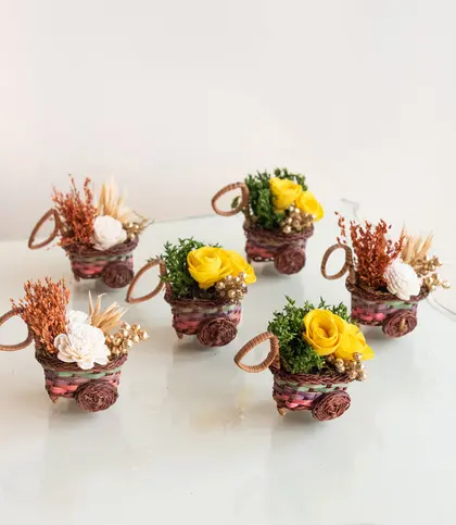 Dried Flowers & Leaves