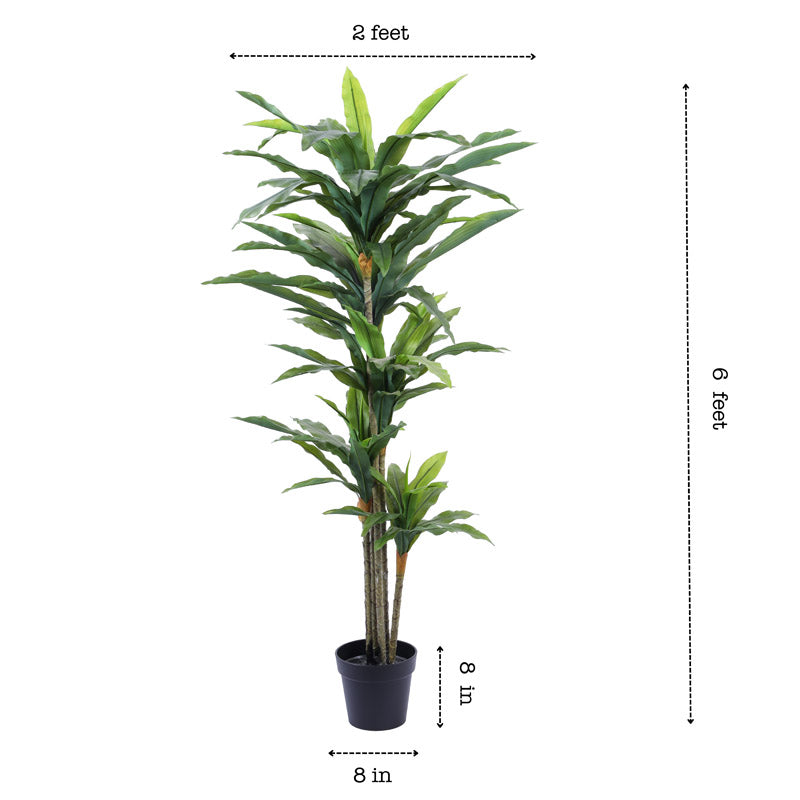 Artificial Realistic Dracaena Plant With Black Plastic Pot - 5.6 Feet image 8