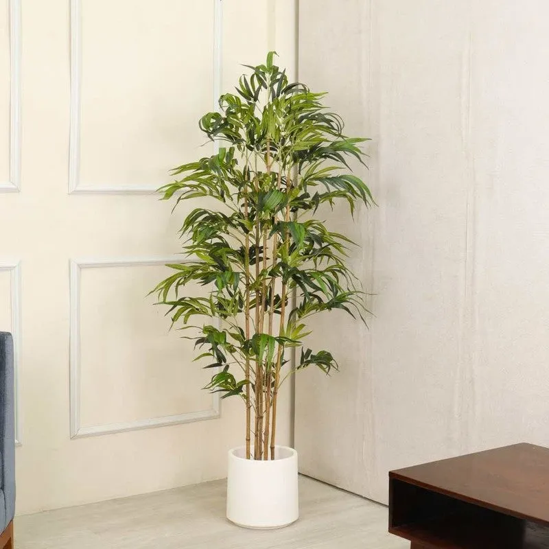 Artificial Bamboo Plant With Fiber White Pot - 6 Feet media 3