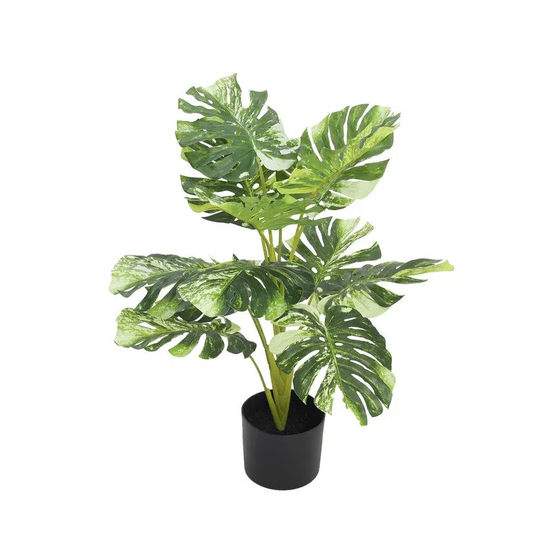 LeafScape Artificial Plant With Black Plastic Pot - 2.5 ft media 8