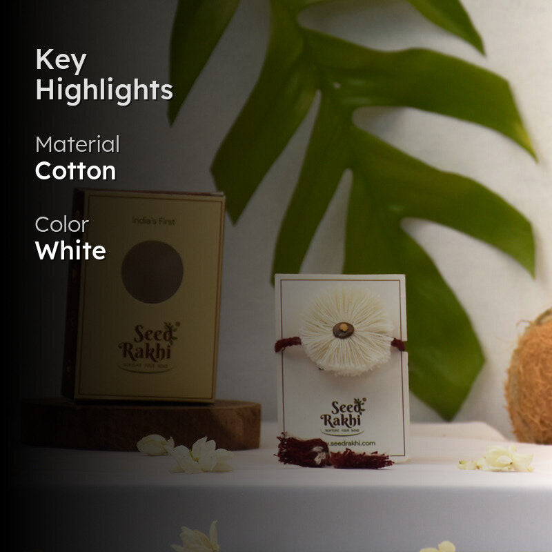 Parampara Seed Rakhi Gift Box media 2