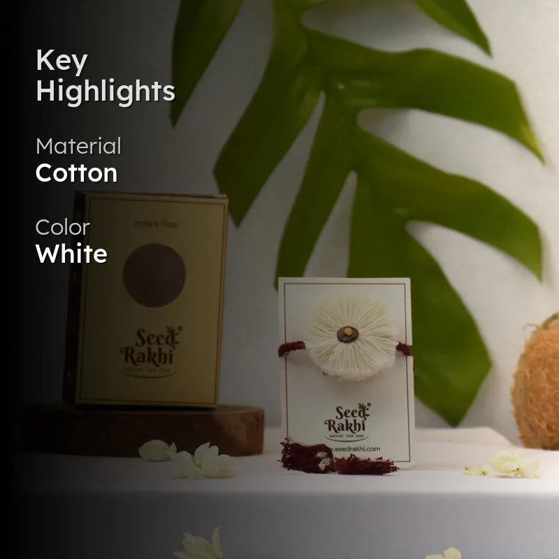 Parampara Seed Rakhi Gift Box media 2