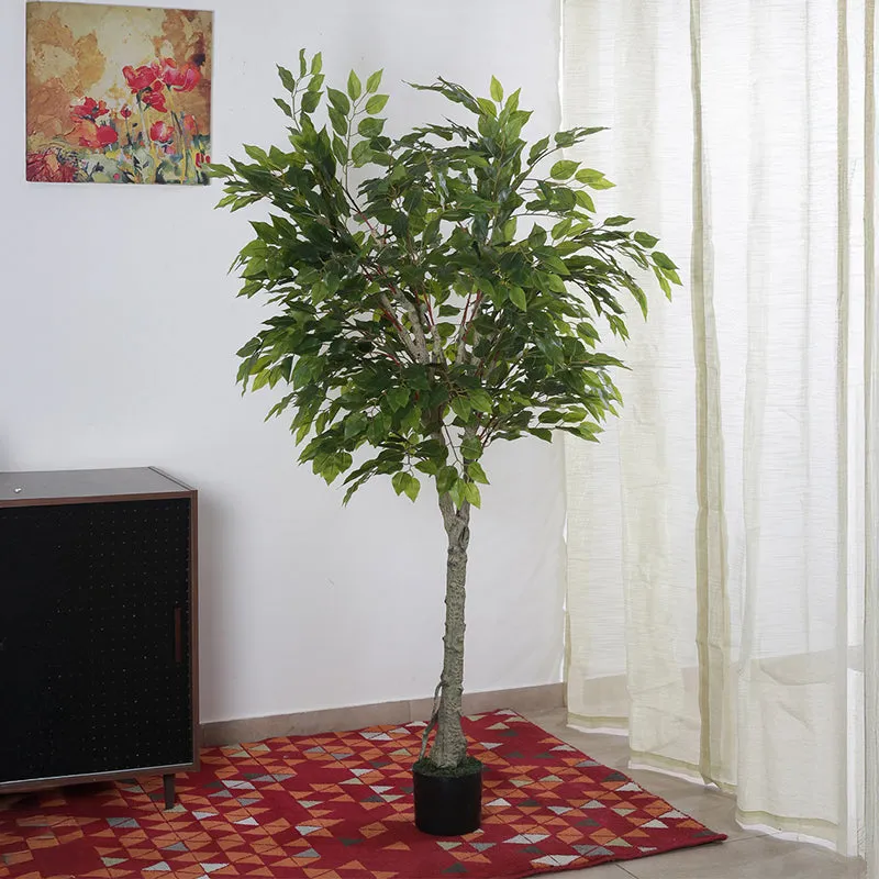 Faux Ficus Plant With Black Plastic Pot - 5.91 ft media 3