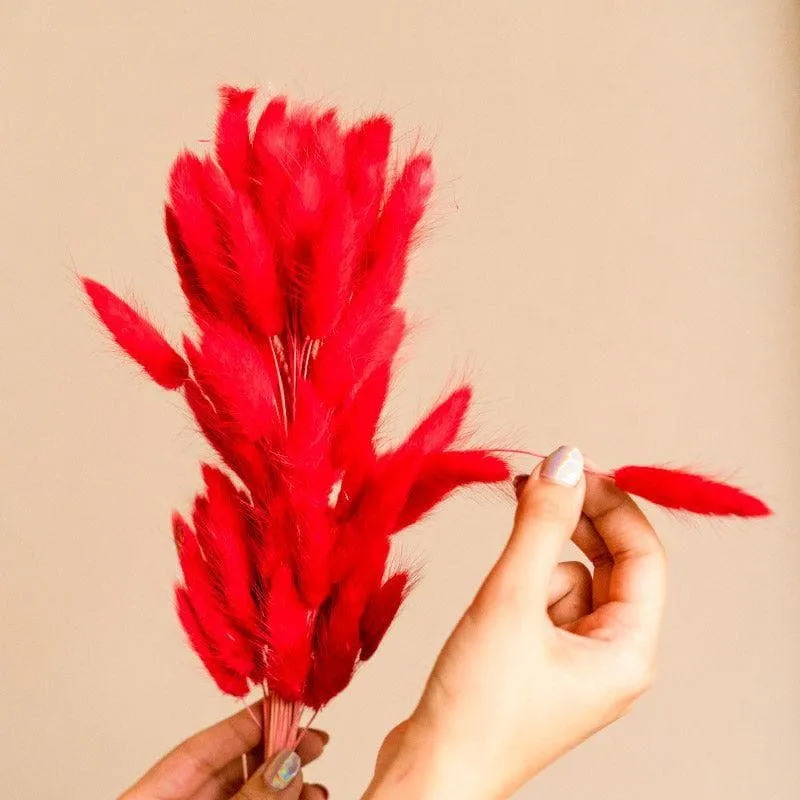 Naturally Dried Bunny Tail Stems (Red) - Set Of Fifty media 4