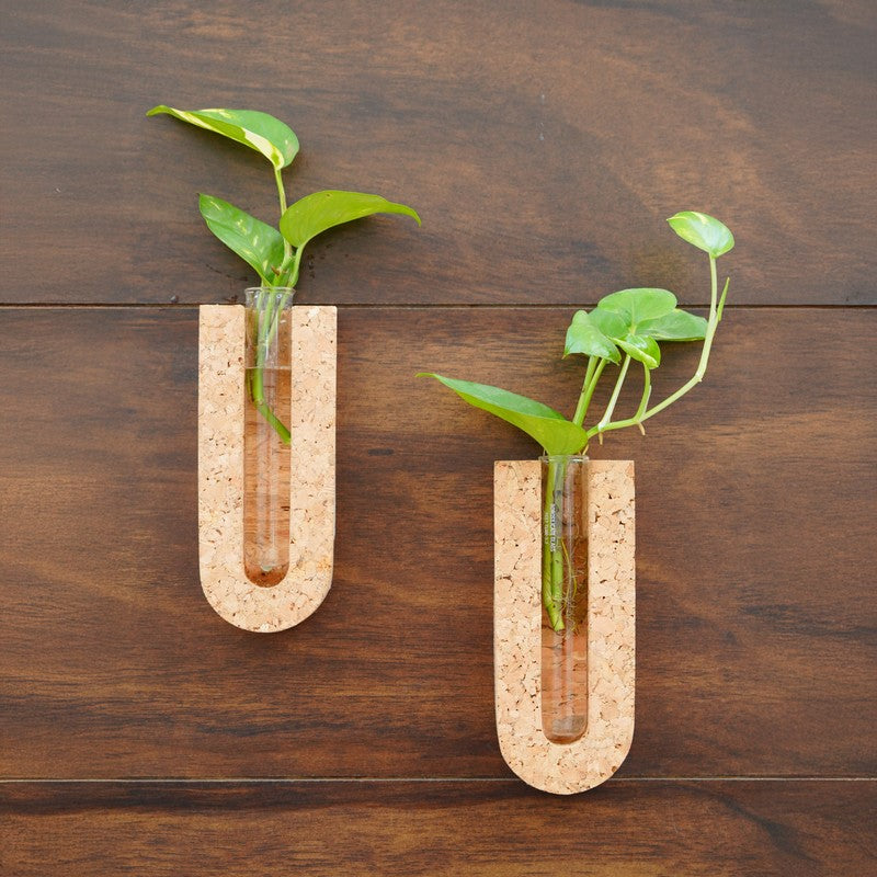 NatureGlow Hydro Planter - Two Piece Set media 4