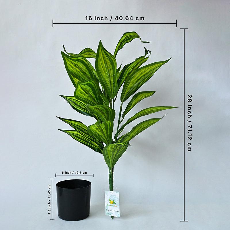 Faux Everlasting Cast Iron Plant With Black Plastic Pot - 71 cm (2.3 ft) media 5