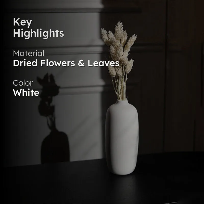 Dried Phalaris Flower Stick (White) - Set of Thirty media 2