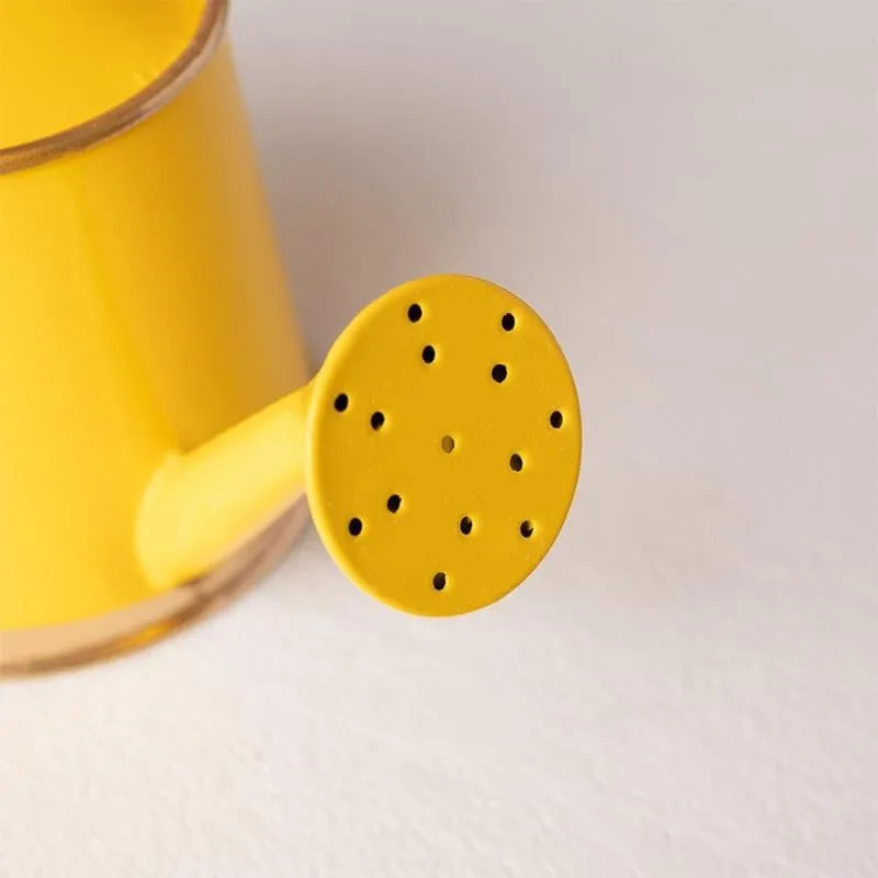 Peso Water Can - Yellow media 5