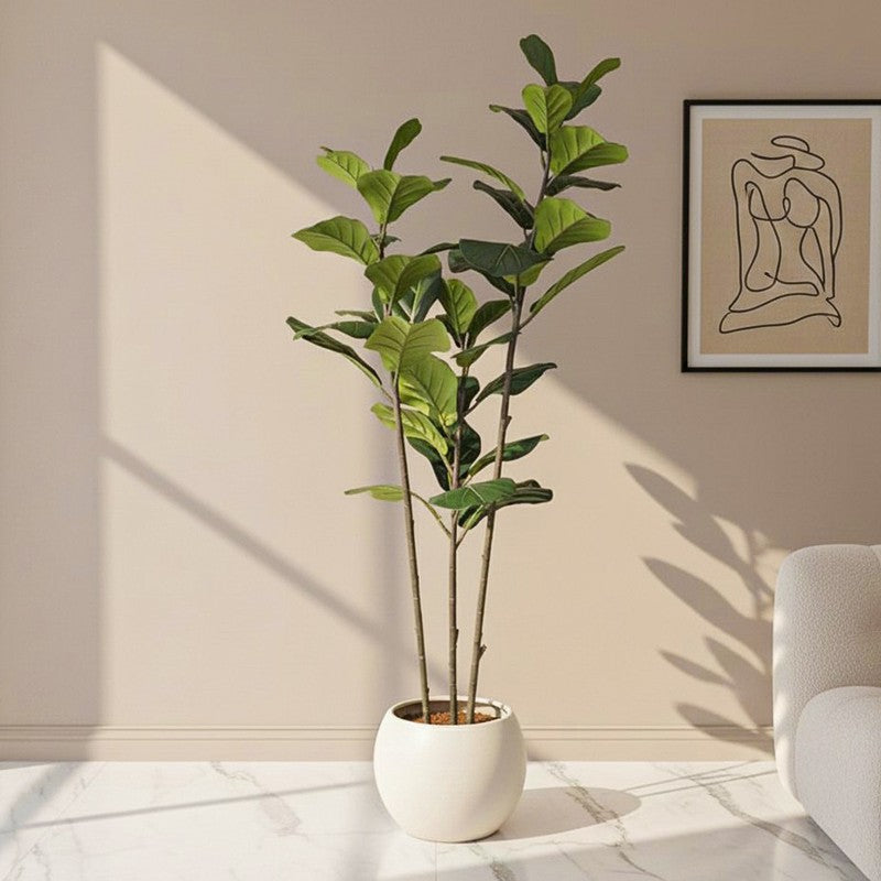 Artisan Fig Artificial Plant With Black Plastic Pot