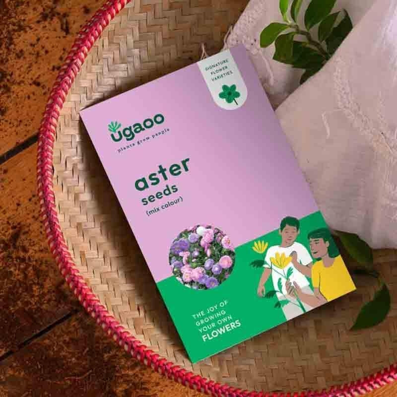 Ugaoo Aster Mix Seeds media 4