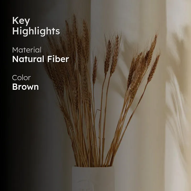 (Brown) Dried Wheat (60 cms) - Set Of Twenty Five Stems media 2
