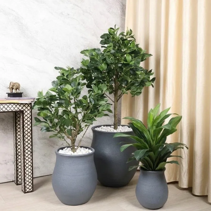 Group of grey planters in different sizes styled with indoor plants