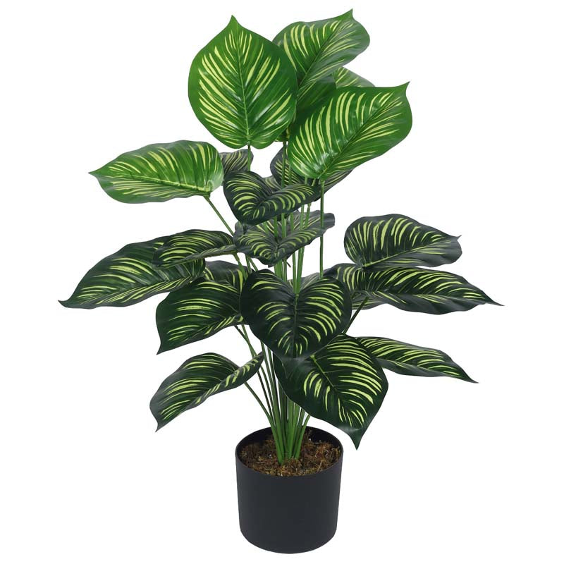 Faux Lush Peperomia Plant With Black Plastic Pot - 2.6 Feet media 4