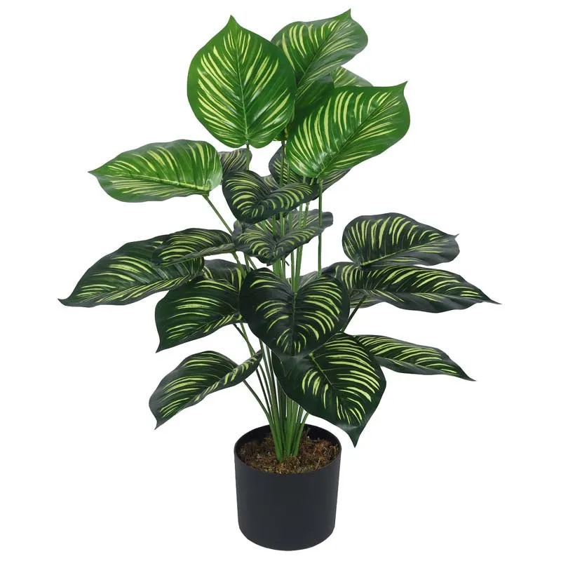 Faux Lush Peperomia Plant With Black Plastic Pot - 2.6 Feet media 4