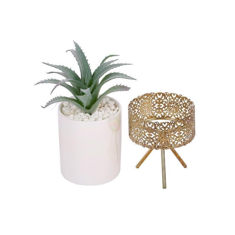 Faux Agave In Ceramic Pot With Tripod - 25 cms media 3