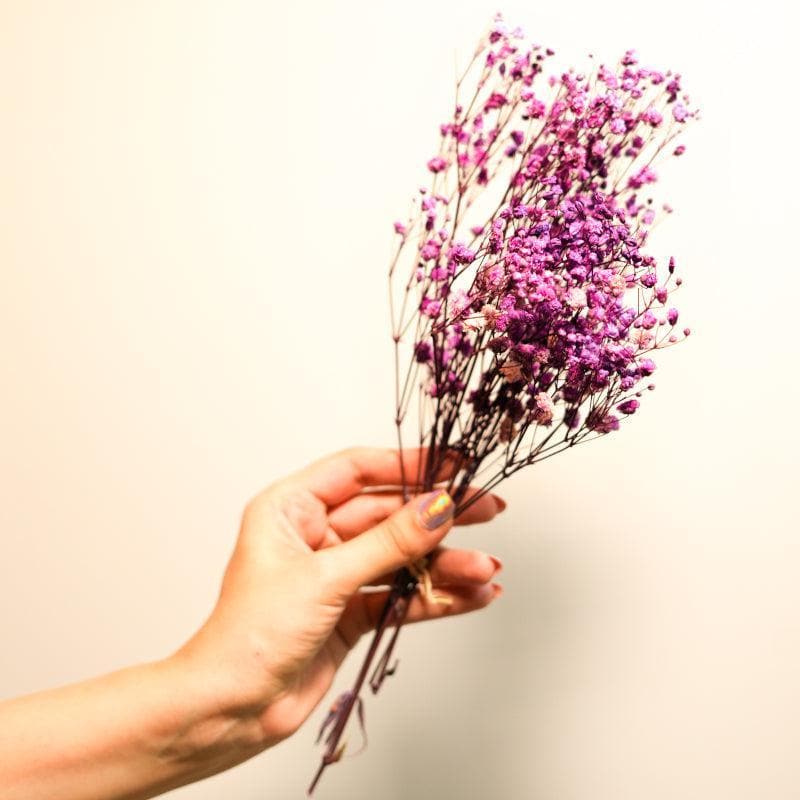 Dried Flowers & Leaves