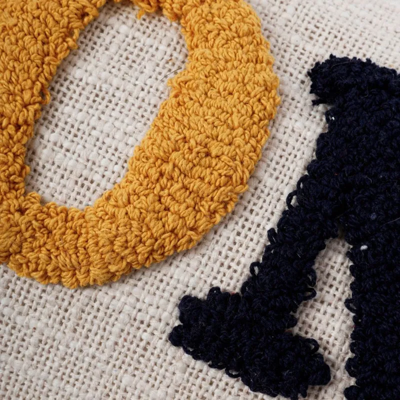 Hearth & Hue Tufted Cushion Cover media 5