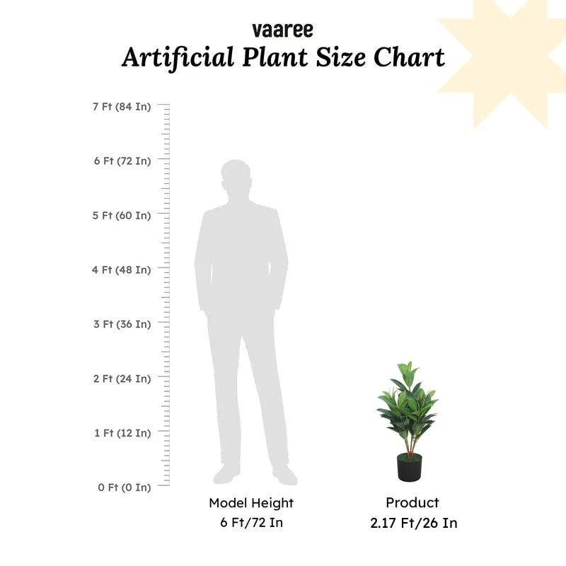 LuxeTouch Artificial Rubber Plant Without Pot - 2.1 Feet media 9
