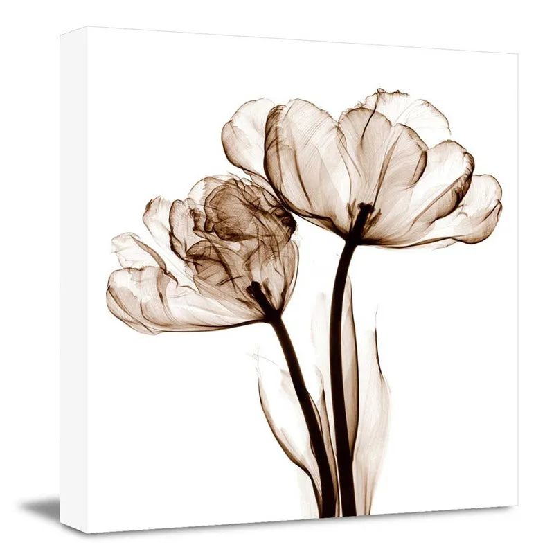 Asteroma Floral Wall Art media 3