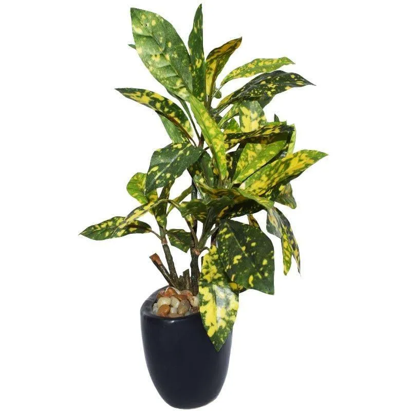Faux Croton Bonsai In Bowl Pot (29 cms) - Yellow media 3