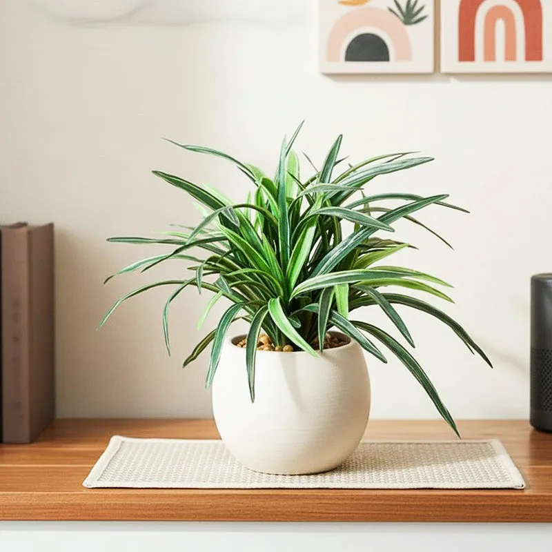 Faux Big Dracaena Bonsai (27 cms) - Green media 1