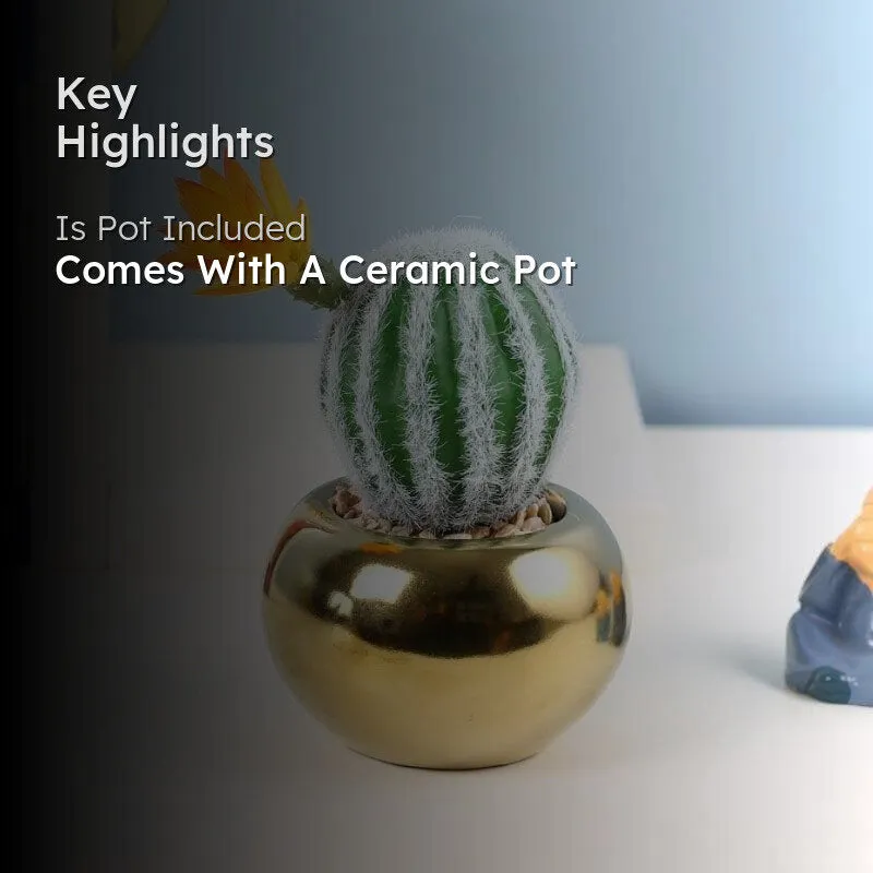 Faux Stripe Cacti In Round Ceramic Pot - 17 cms media 2