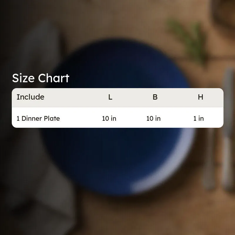 MealZone Ceramic Dinner Plate media 11