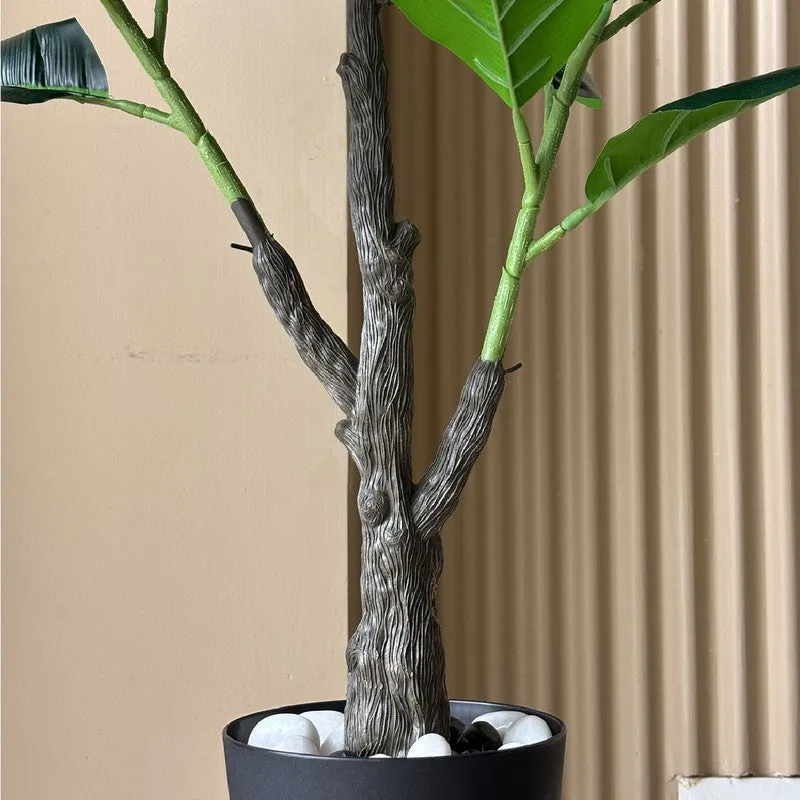 Jungle Fiddle Fig Artificial Plant With Black Plastic Pot - 95 cm (3.1 ft) - 6