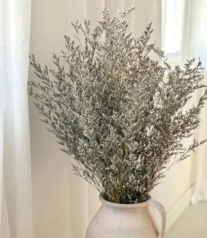 Dried Flowers & Leaves