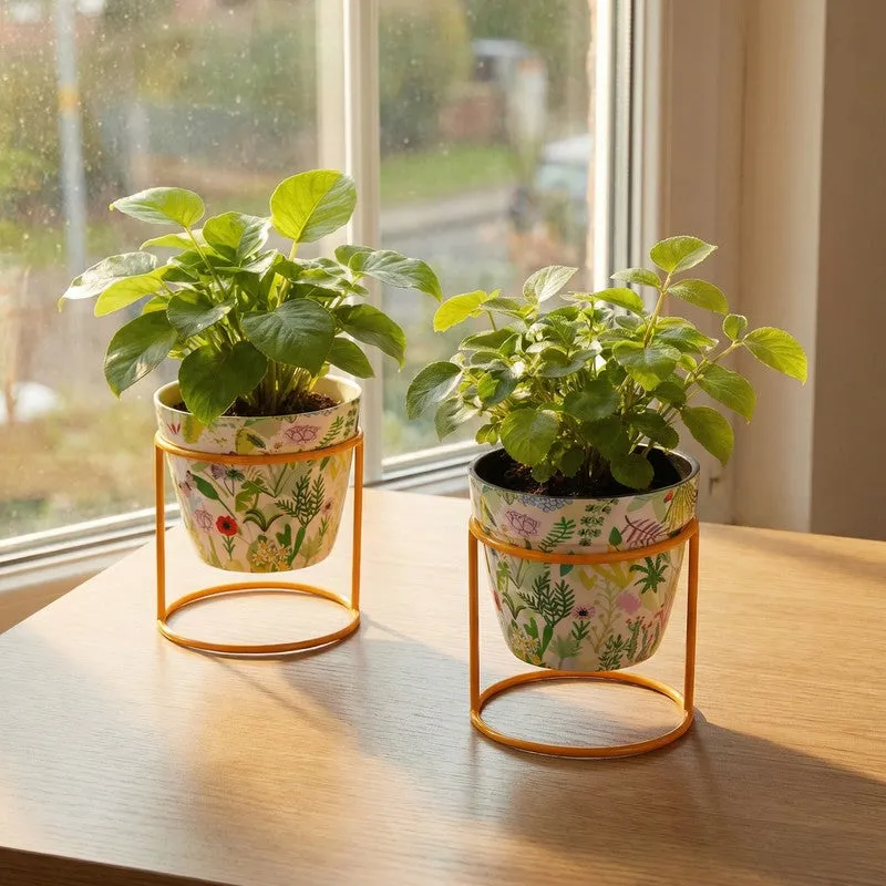 Glaze & Grow Metal Planters With Stand - Four Piece Set media 8