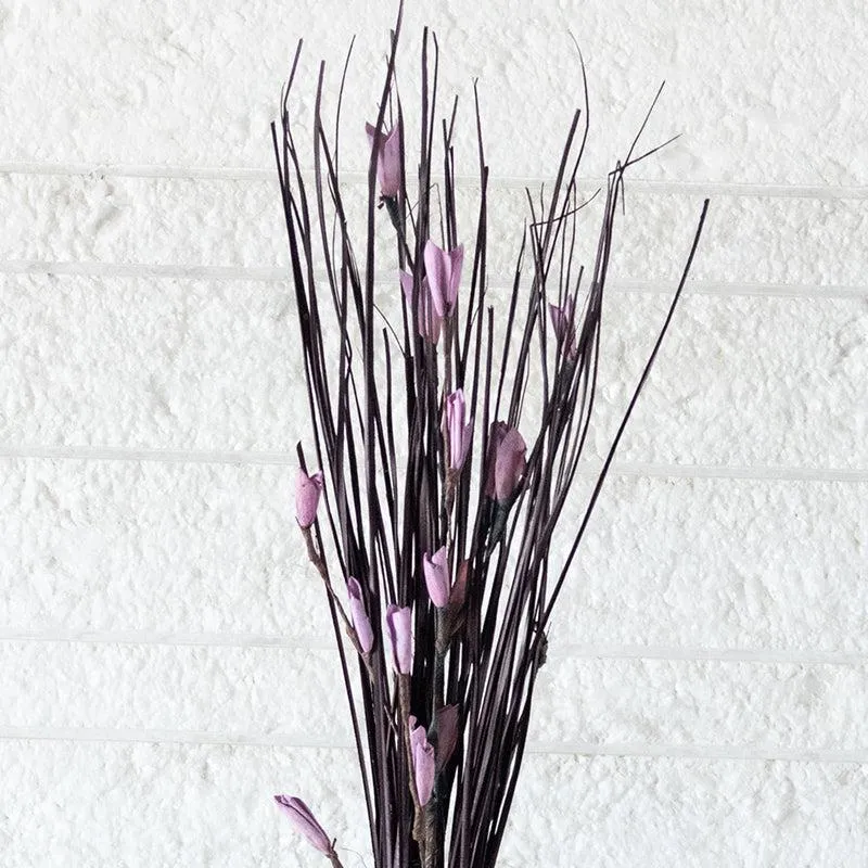Dalfrina Dried Stem media 5