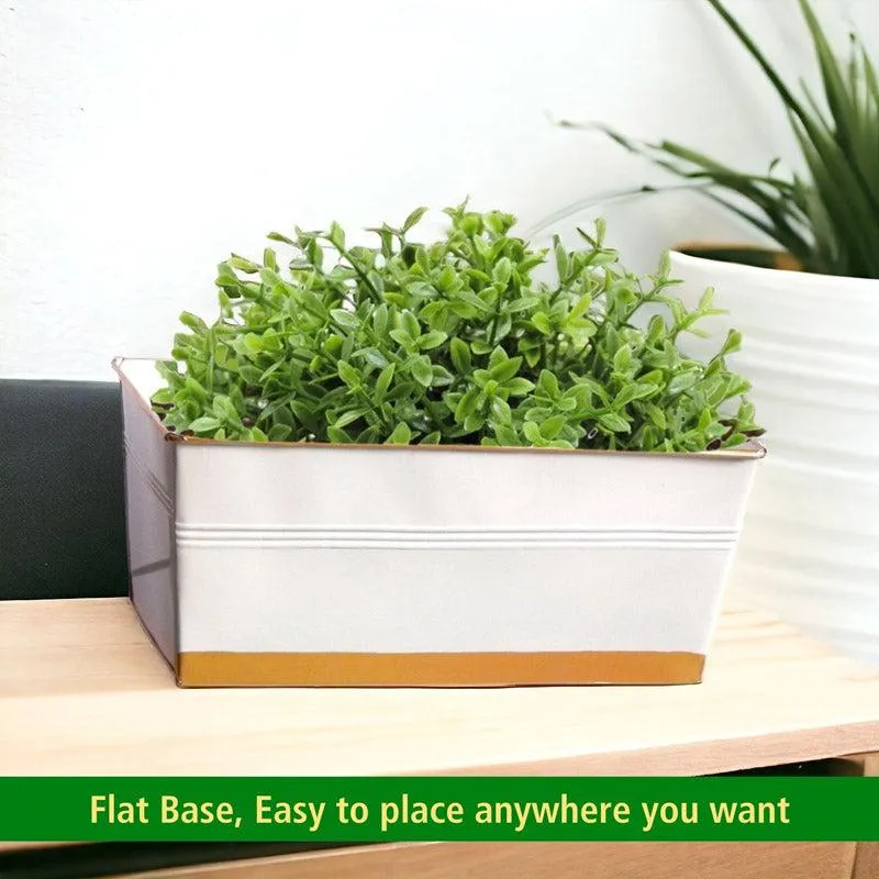 Adro Planter (Multicolor) - Set Of Six - 5