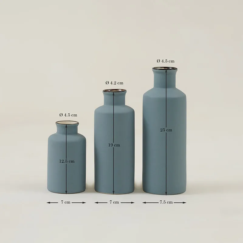 Alnira Bottle Vase (Blue) - Set Of Three media 5
