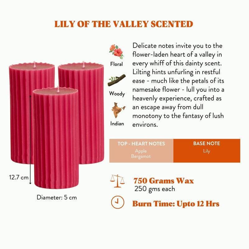 Pink Meadows Ribbed Pillar Scented Candles - Set Of 3 media 7