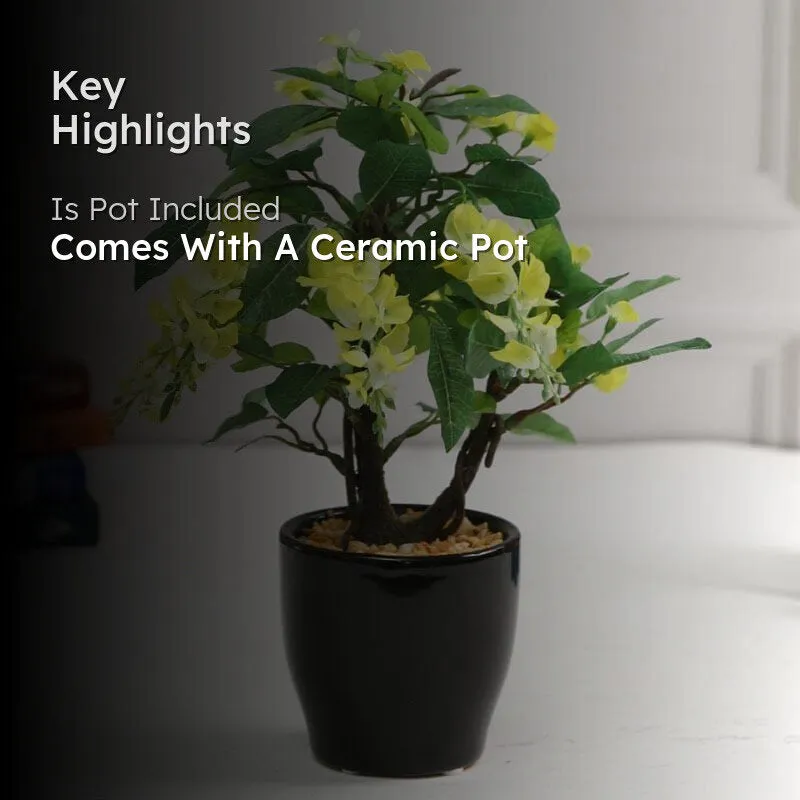 Faux Wisteria Bonsai In Ceramic Pot (25 cms) - Yellow media 2