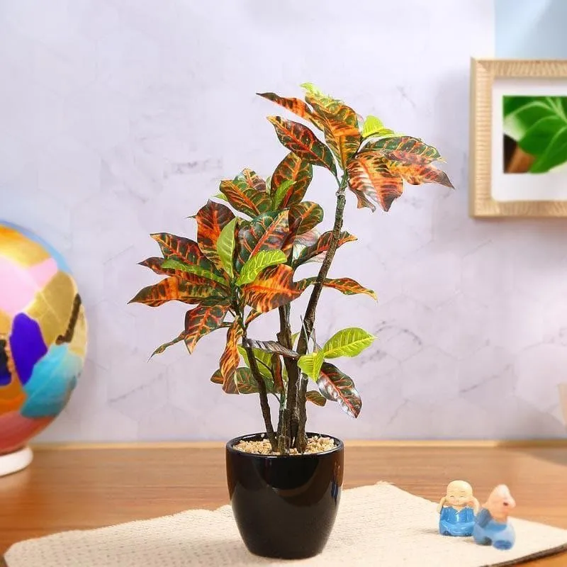 Faux Tall Croton Bonsai In Ceramic Pot - 41 cms media 1