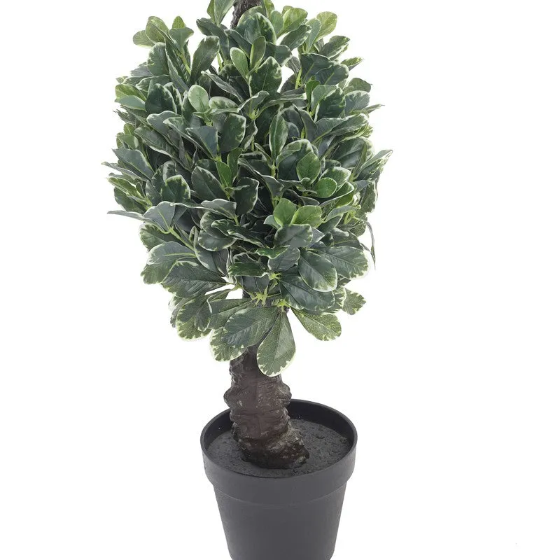 Verdure Touch Artificial Plant With Black Plastic Pot - 5.9 ft media 6