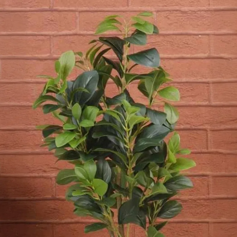 Artificial Peperomia Plant Without Pot - 2 Feet media 5