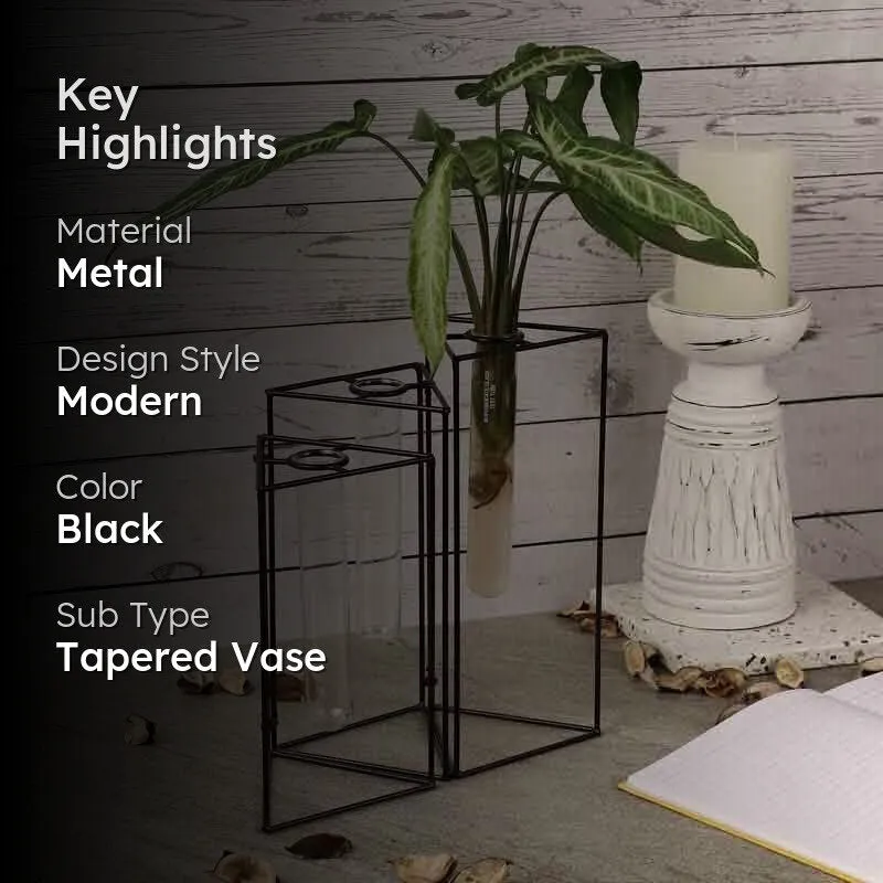 Trigonometry Testube Planter media 2