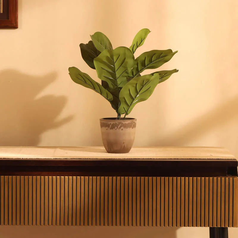 Artificial Fiddle Leaf Fig With Black Plastic Pot (Set Of Two) - 1 Feet media 1