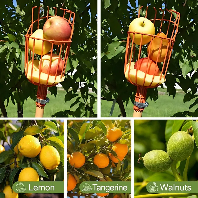 Pick Pro Fruit Picker - Orange media 3