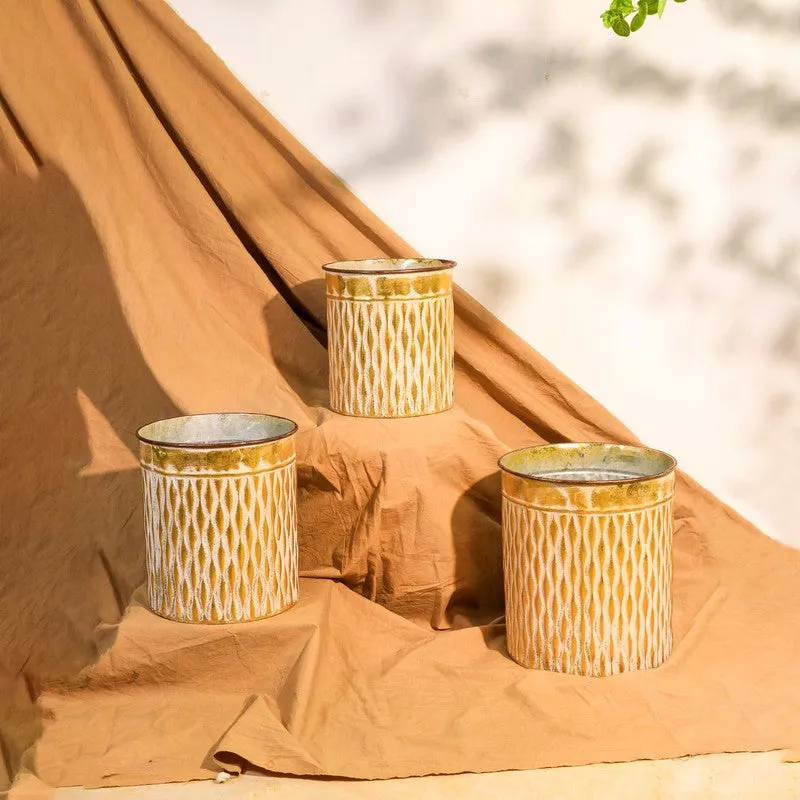 Aurora Metal Planters - Set Of Three media 5