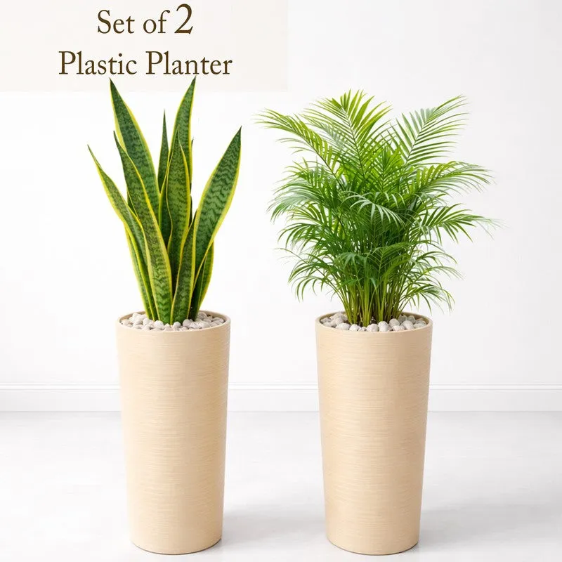 Root Aura Planters - Set Of Two media 3