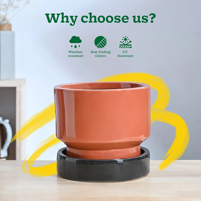 Ugaoo Pot-fection Ceramic Planter - Coral media 6
