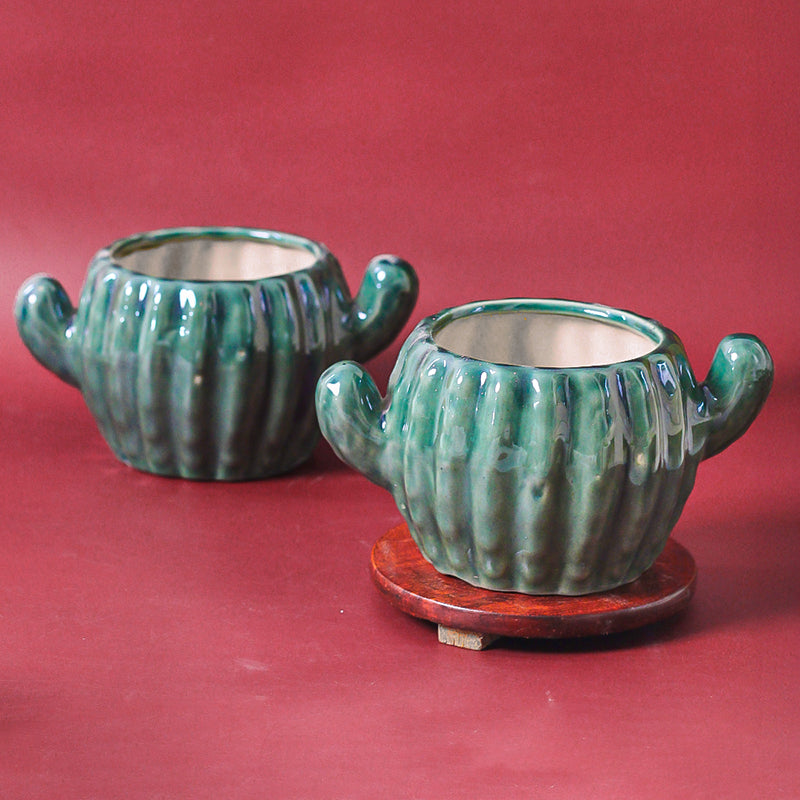Cacti Fun Ceramic Planter media 4