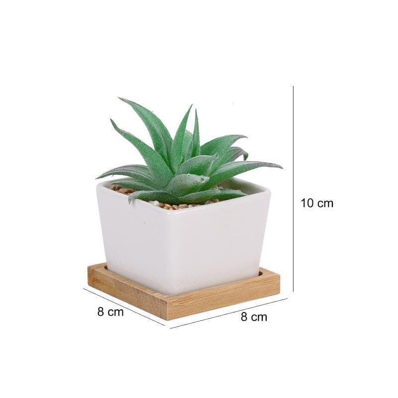 Faux Agave In Square Pot - 9.5 cms media 5