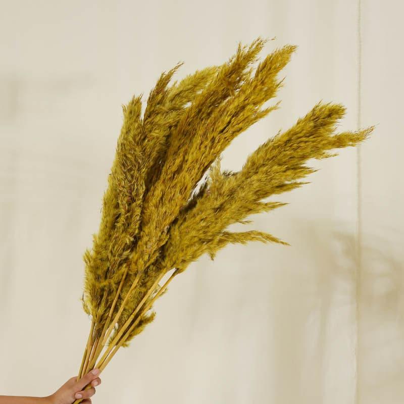 Puffy Pampas Stems (2.62 ft) - Yellow media 4
