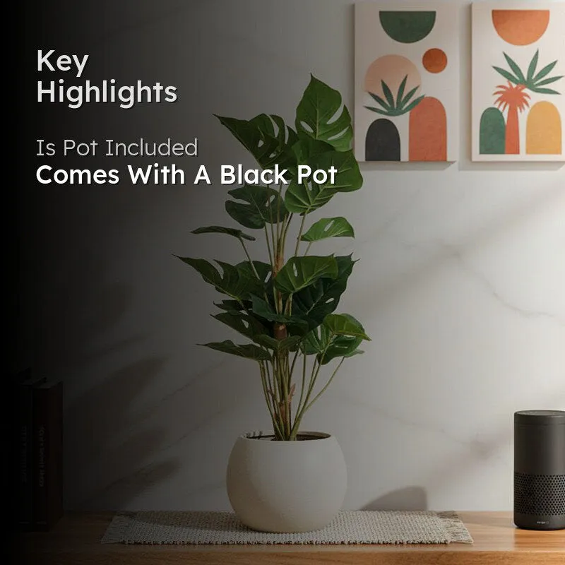 Veloura Artificial Monstera Plant With Black Plastic Pot - 3 Feet media 2