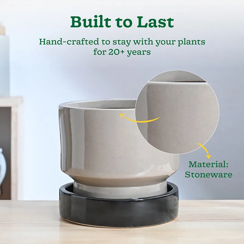 Ugaoo Pot-fection Ceramic Planter - Black media 4